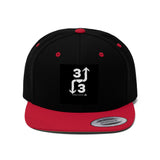 3UP 3DOWN Flat Bill Hat