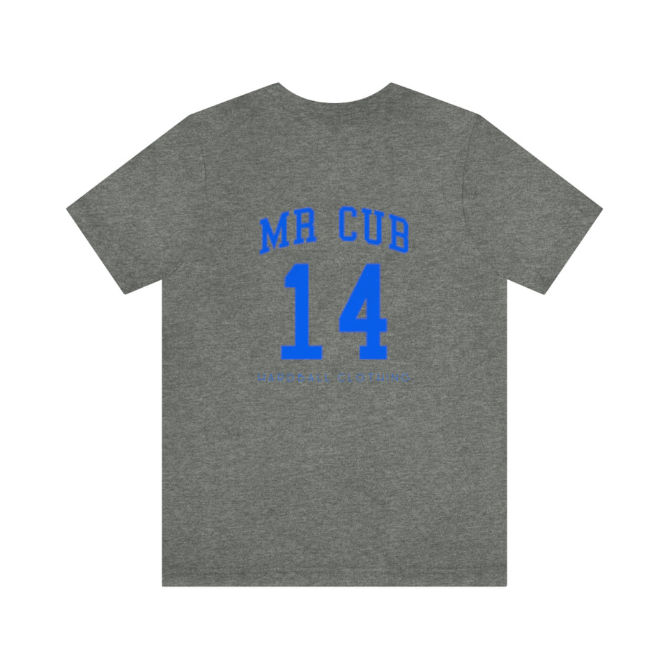 Mr. Cub