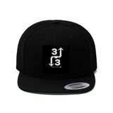 3UP 3DOWN Flat Bill Hat